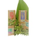 Basket "High Mountain Infusions"